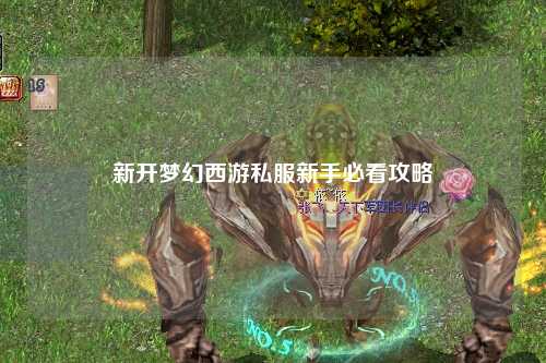 新开梦幻西游私服新手必看攻略