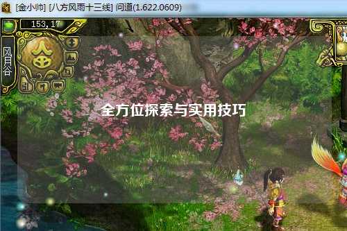 全方位探索与实用技巧