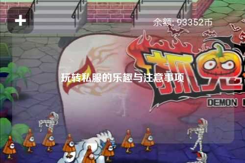 玩转私服的乐趣与注意事项