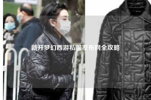 新开梦幻西游私服发布网全攻略