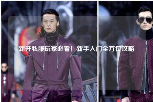 新开私服玩家必看！新手入门全方位攻略