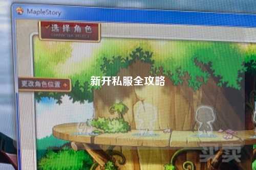 新开私服全攻略