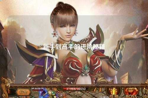 新手到高手的进阶秘籍