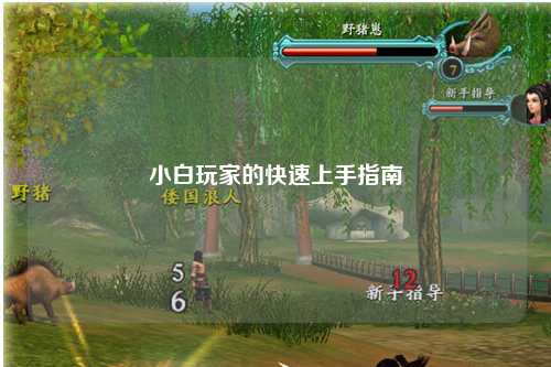 小白玩家的快速上手指南