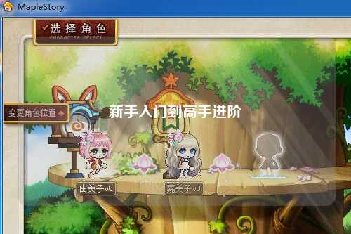 新手入门到高手进阶