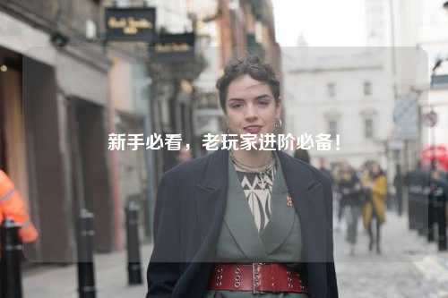 新手必看，老玩家进阶必备！