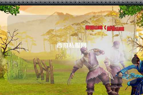 西游私服网