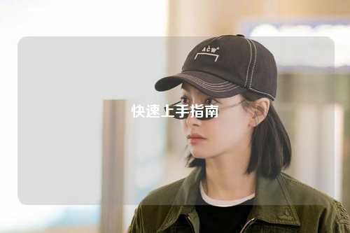 快速上手指南