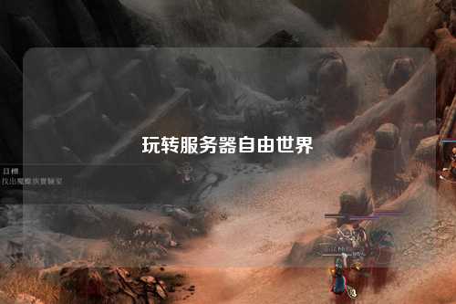 玩转服务器自由世界