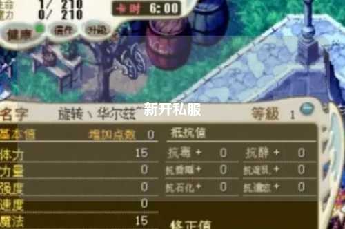 新开私服