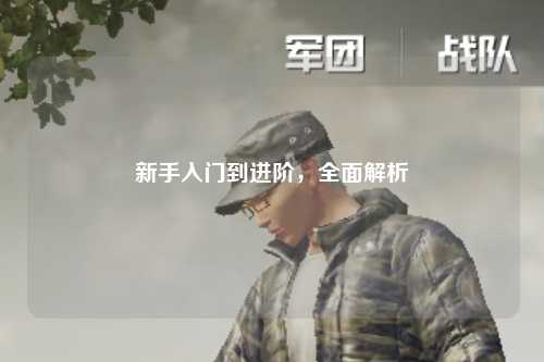 新手入门到进阶，全面解析