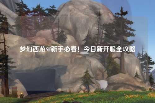 梦幻西游SF新手必看！今日新开服全攻略