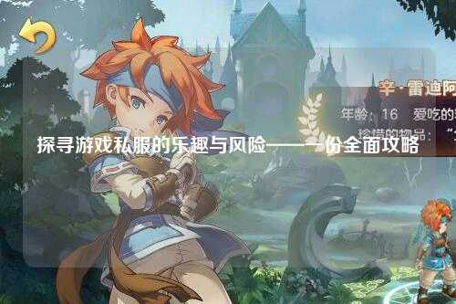 探寻游戏私服的乐趣与风险——一份全面攻略