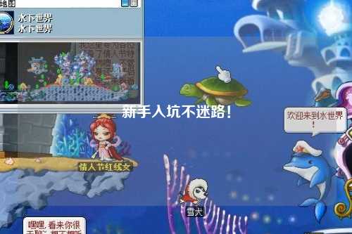 新手入坑不迷路！