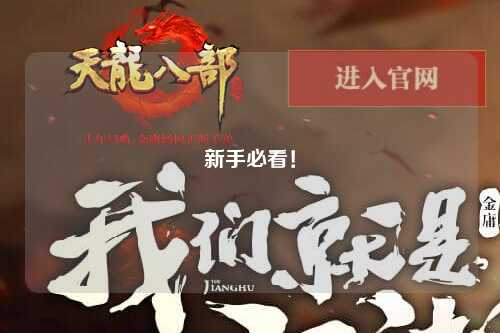 新手必看！
