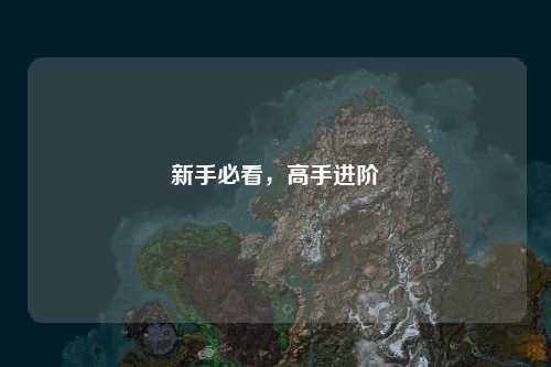 新手必看，高手进阶