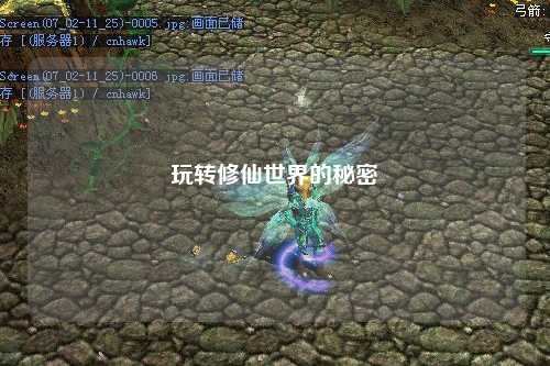 玩转修仙世界的秘密