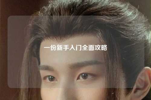 一份新手入门全面攻略