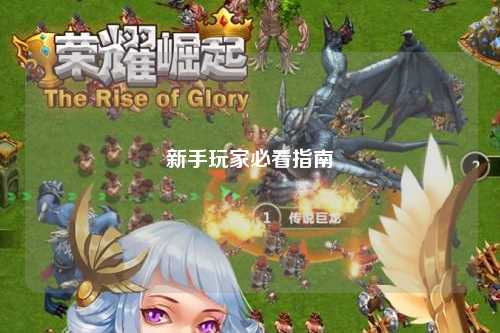 新手玩家必看指南