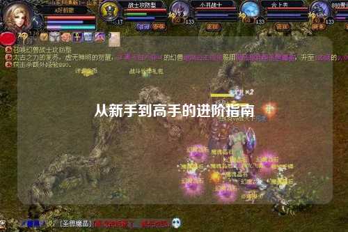 从新手到高手的进阶指南