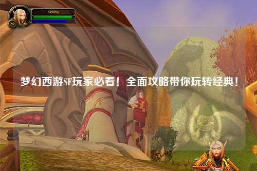 梦幻西游SF玩家必看！全面攻略带你玩转经典！