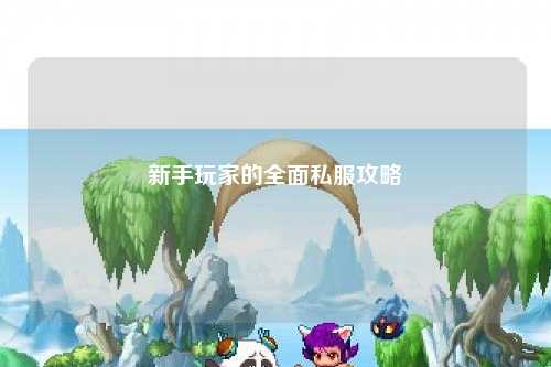 新手玩家的全面私服攻略