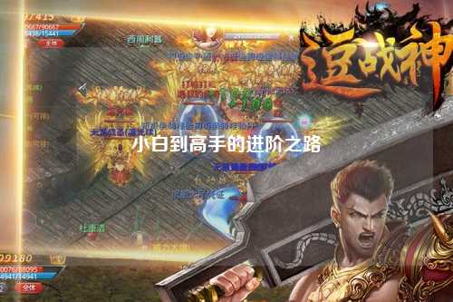 小白到高手的进阶之路