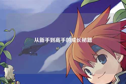 从新手到高手的成长秘籍