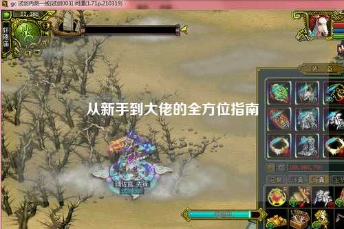 从新手到大佬的全方位指南