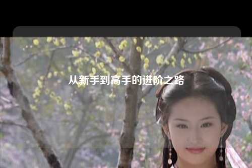从新手到高手的进阶之路