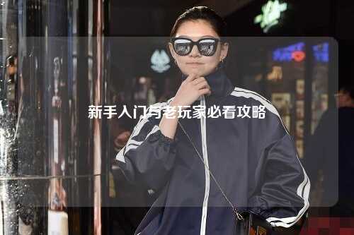 新手入门与老玩家必看攻略