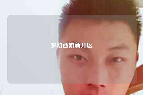 梦幻西游新开区