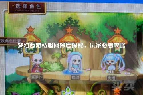梦幻西游私服网深度探秘，玩家必看攻略