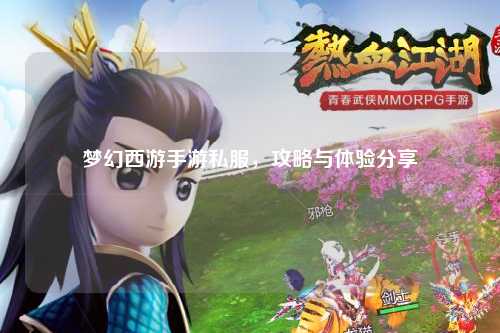 梦幻西游手游私服，攻略与体验分享