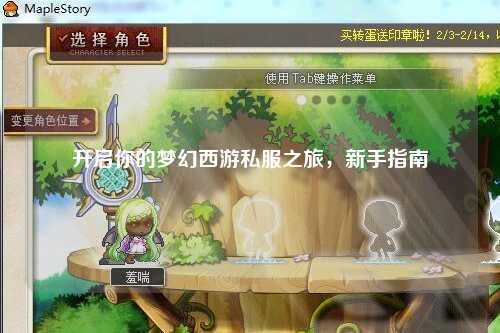 开启你的梦幻西游私服之旅，新手指南