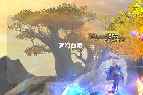 梦幻西游2