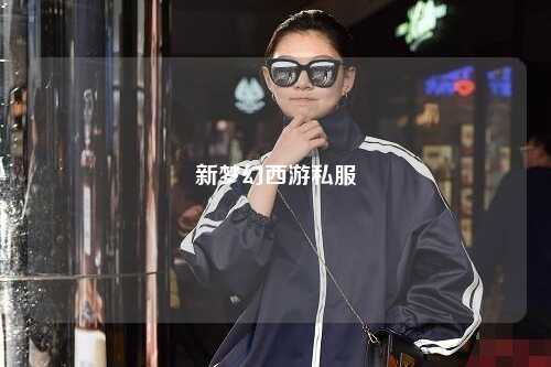新梦幻西游私服