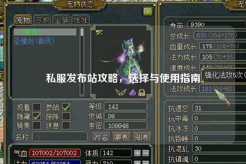 私服发布站攻略，选择与使用指南