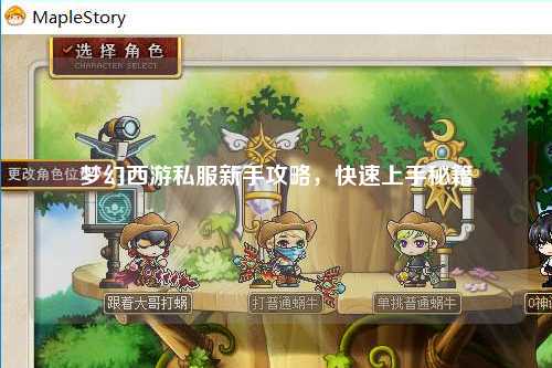 梦幻西游私服新手攻略，快速上手秘籍